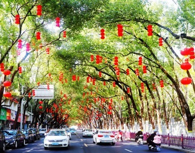 新余：装扮一新迎新春