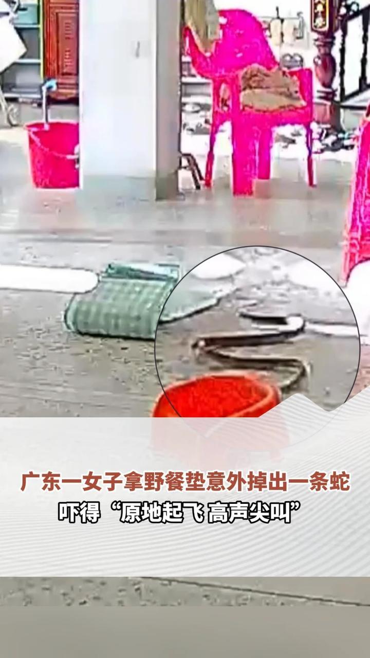广东一女子拿野餐垫意外掉出一条蛇，吓得“原地起飞”，网友：蛇年最后一吓，马年一路开挂