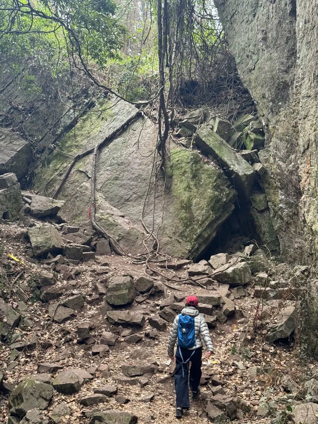 马年第一场徒步，安排！