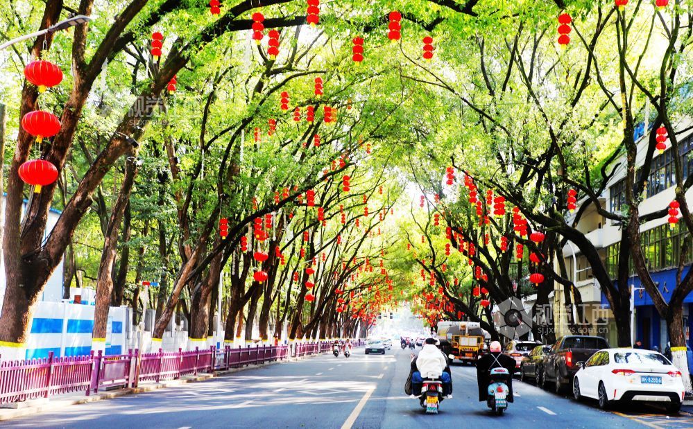 2月14日，江西省新余市渝水区城北街道竹山北路两旁灯笼高挂，喜庆祥和的节日氛围扑面而来。