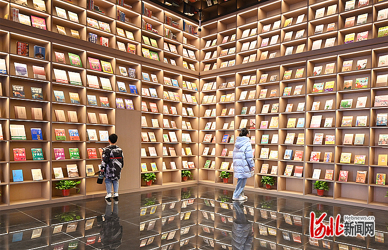 邯郸成语博物馆收藏了不同版本的近百种成语词典。2月10日，两名学生在书架前驻足观看。河北日报见习记者 冯依凡摄