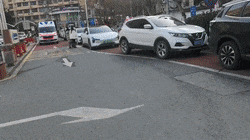 微信视频2026-02-12_104202_483[00-00-19--00-00-26].gif