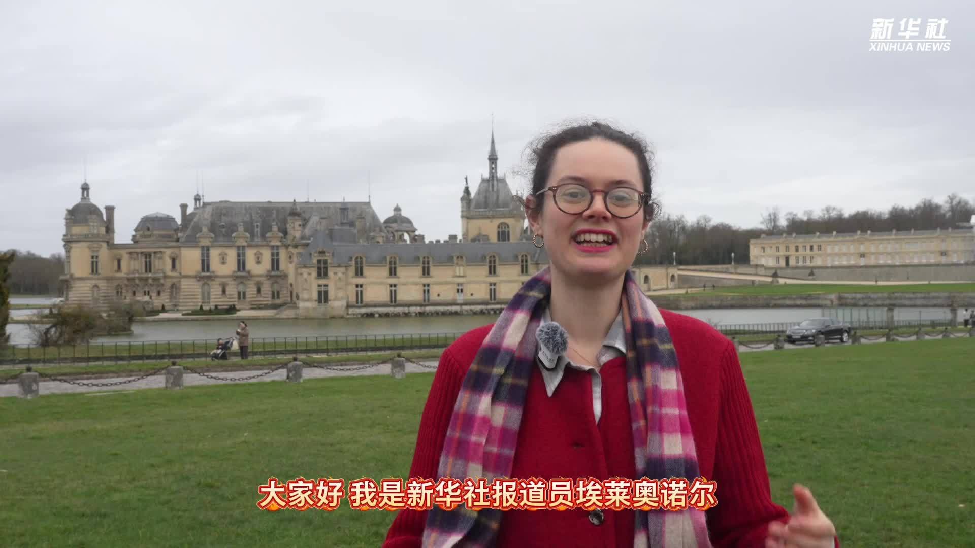 新春VLOG｜“金马迎瑞”——以法国传统马术迎接马年春节