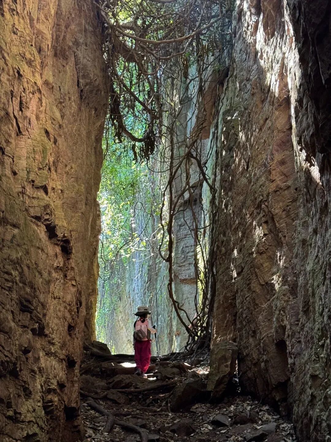 马年第一场徒步，安排！