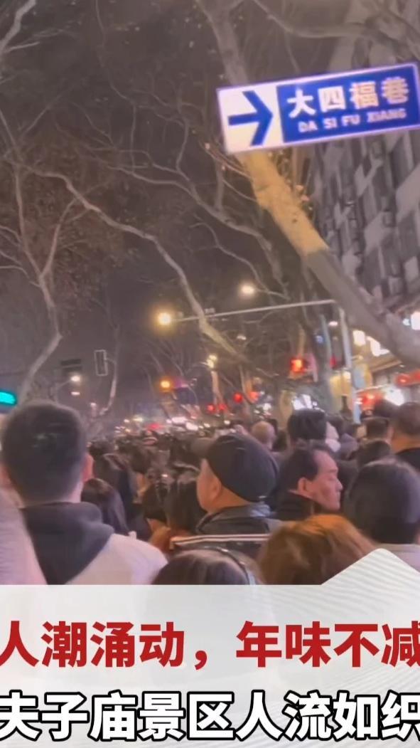 人潮涌动，年味不减。春节出行热情高涨，夫子庙景区人流如织！记得提前预约，尽量错峰#春节