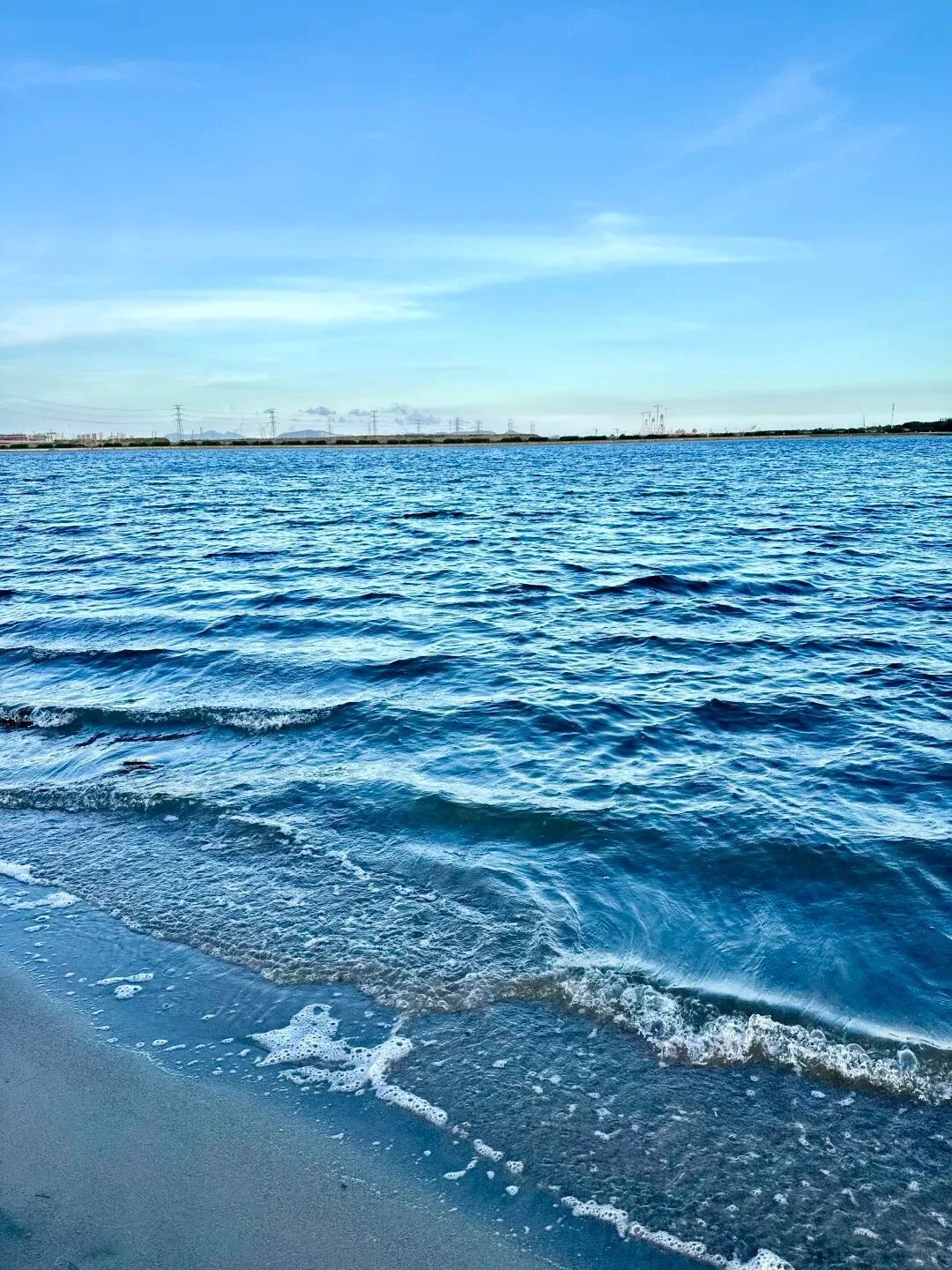 小红书博主 @Mii Bao (4).jpg