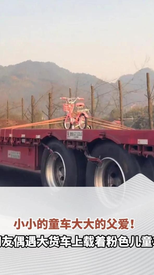 小小的童车大大的父爱！网友偶遇大货车上载着粉色儿童车：拉最轻的货，载最重的爱#父爱如山