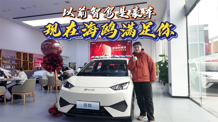 以前智驾是豪车，现在海鸥满足你