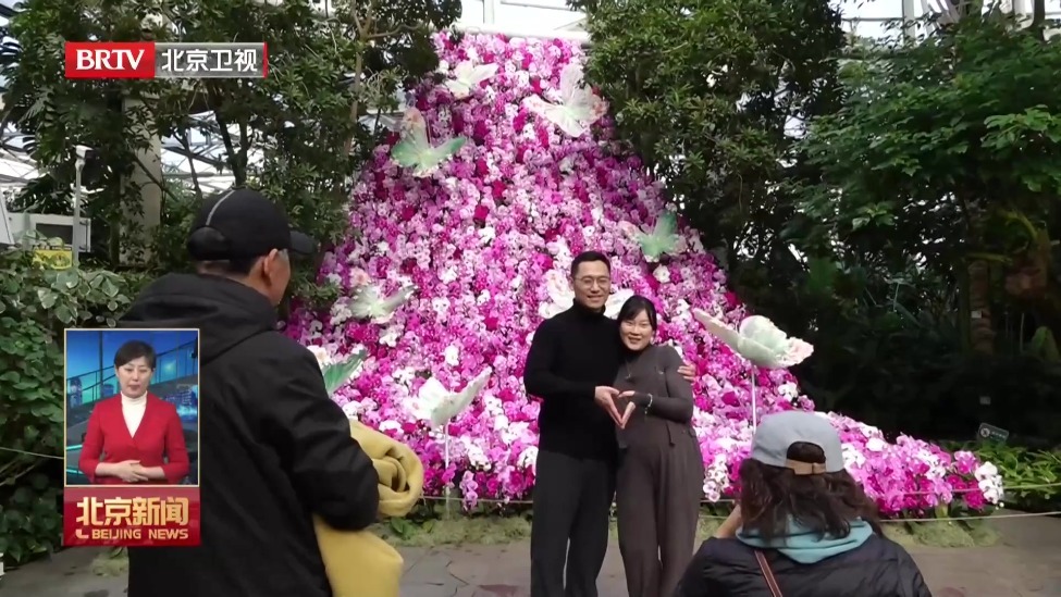 “京”彩中国年丨新春游园 市民游客许下马年“奔腾”的心愿