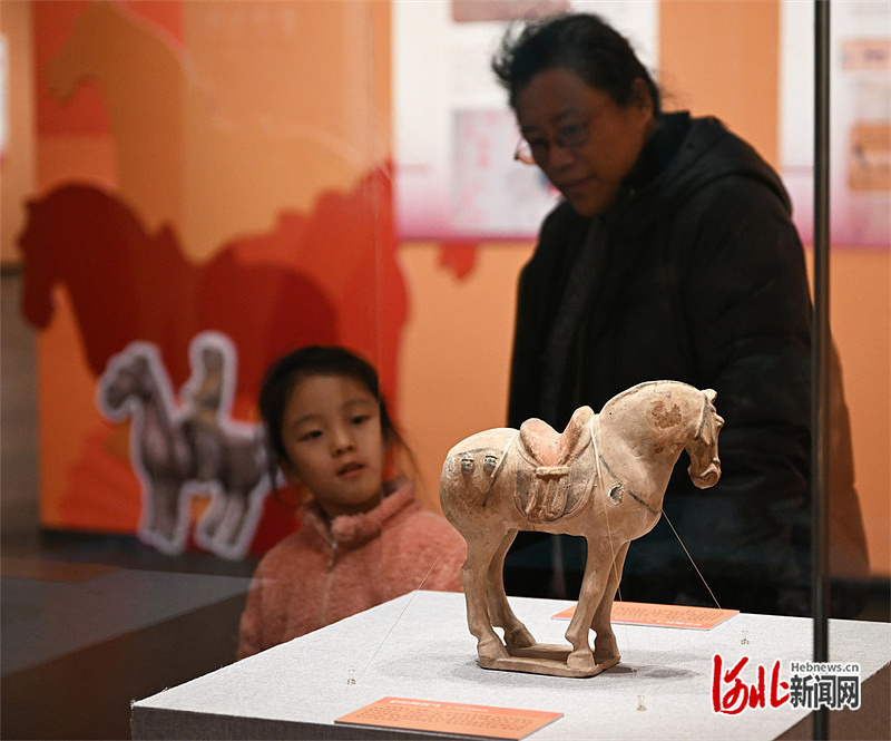 2月17日，游客在河北博物院观看院藏文物彩绘陶鞍马。