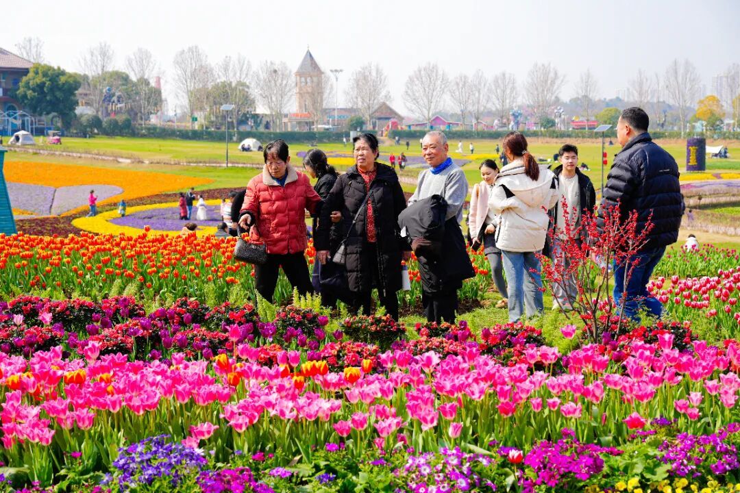 大年初四，武汉花博汇景区游人如织，赏早春第一波郁金香.jpg