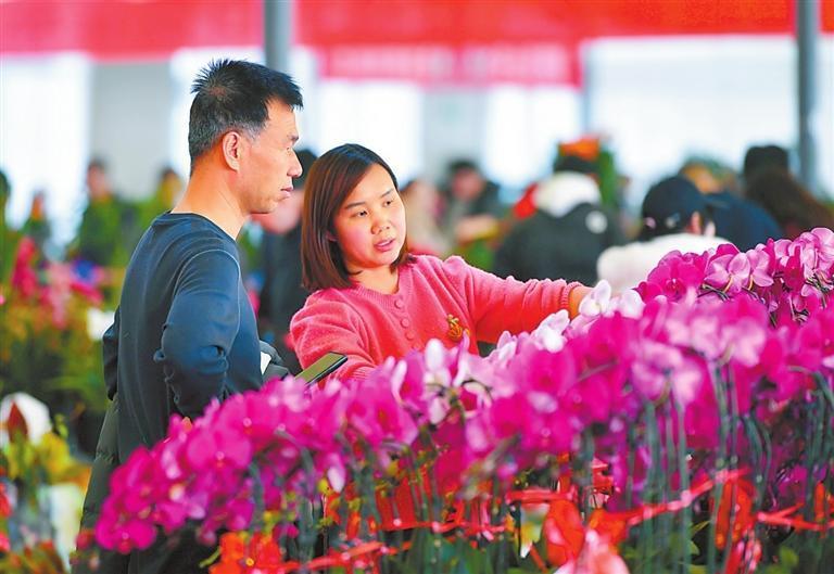 春节前夕，兰州市西固区举办新春花展，吸引众多市民游客前来选购鲜花。新甘肃&middot;甘肃日报记者　马伊星