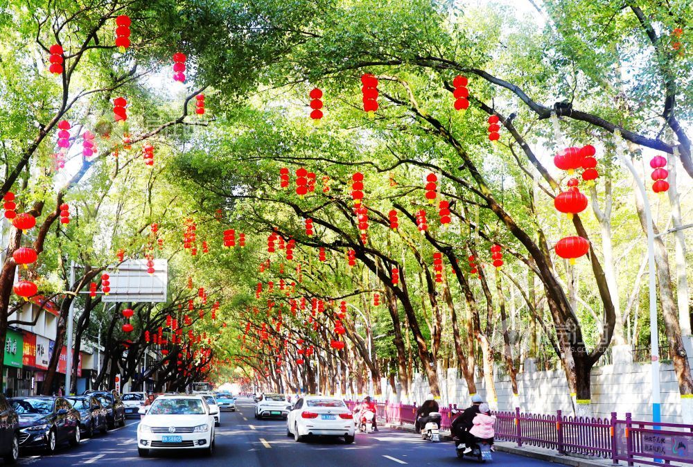 2月14日，江西省新余市渝水区城北街道竹山北路两旁灯笼高挂，喜庆祥和的节日氛围扑面而来。