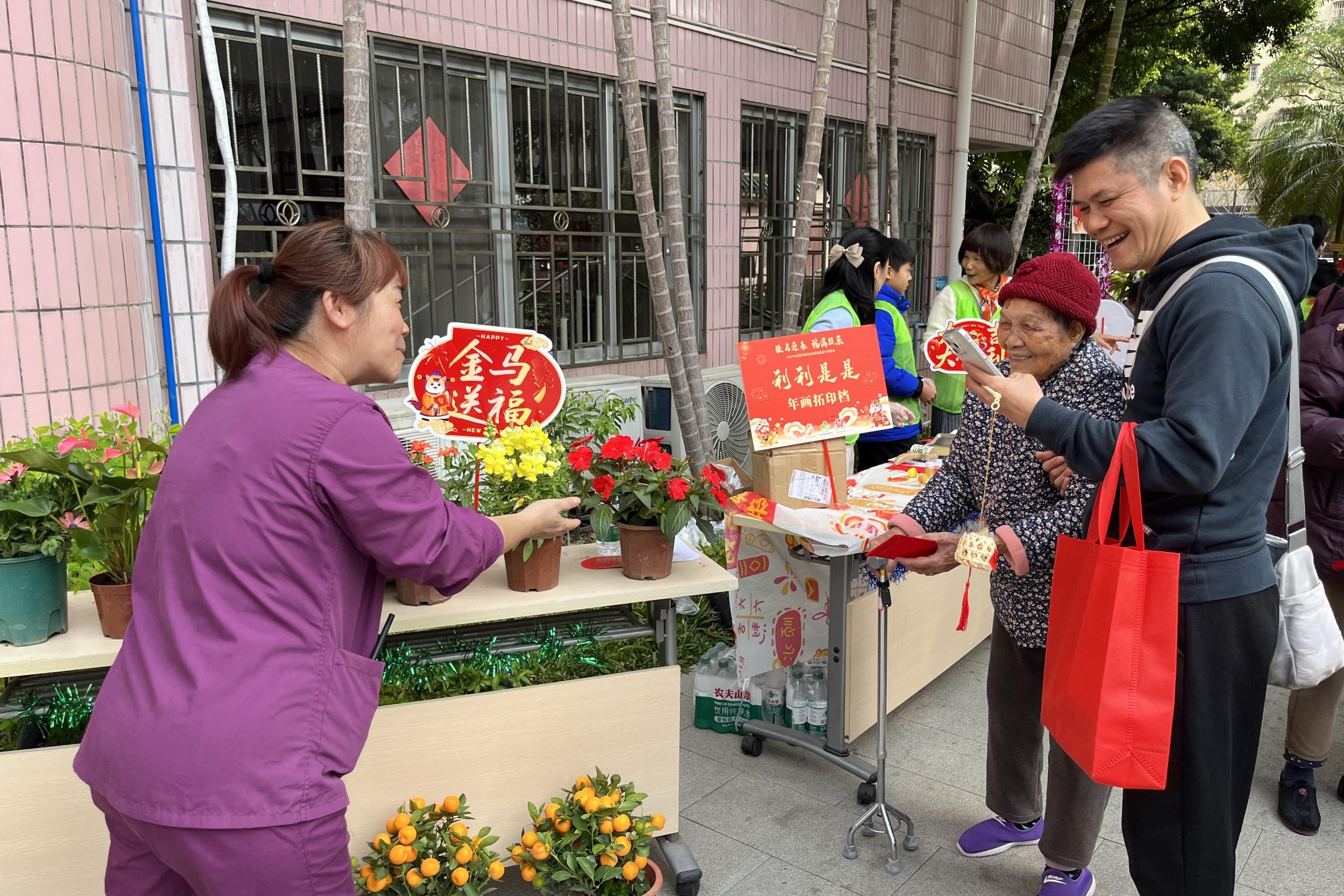 图：共赏迎春花