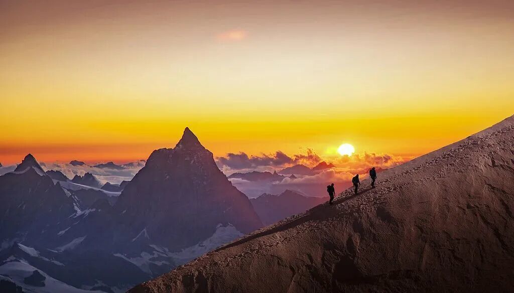 新的一年，骉腾万里