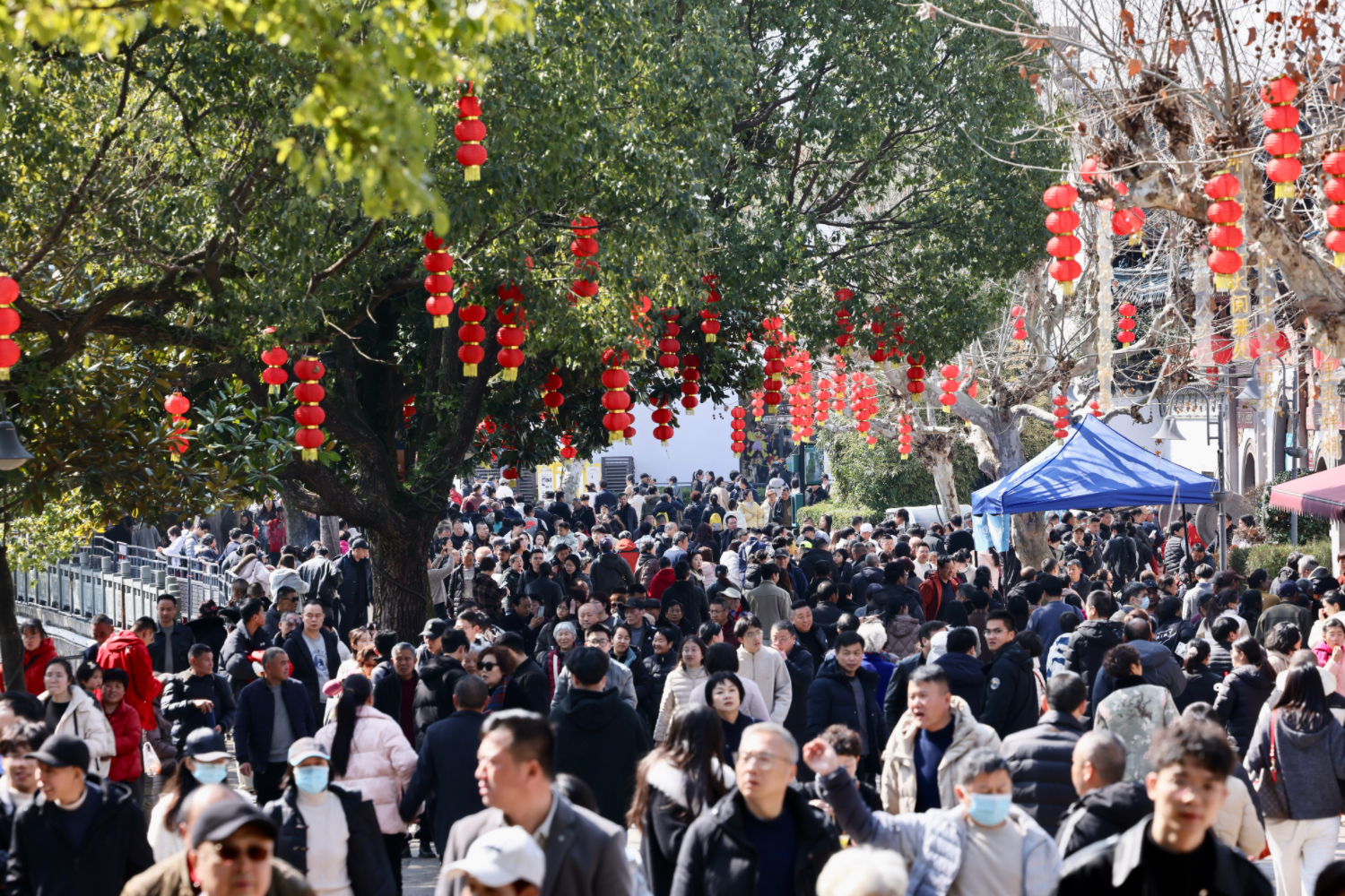 马年新春年味浓!奉化全域文旅活动亮点纷呈