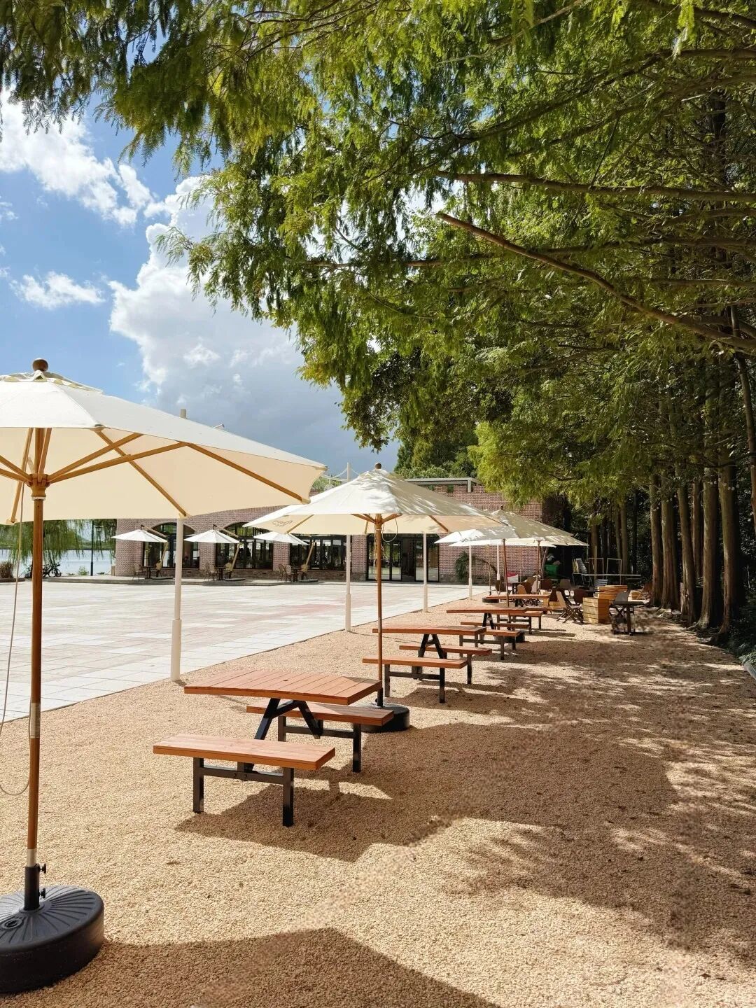 大大去哪儿 (2).jpg