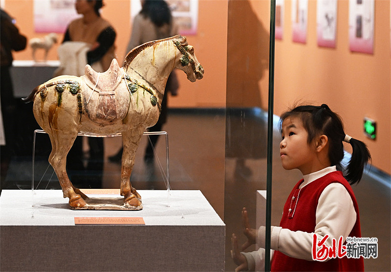 2月17日，小游客在河北博物院观看院藏文物巩县窑三彩马。