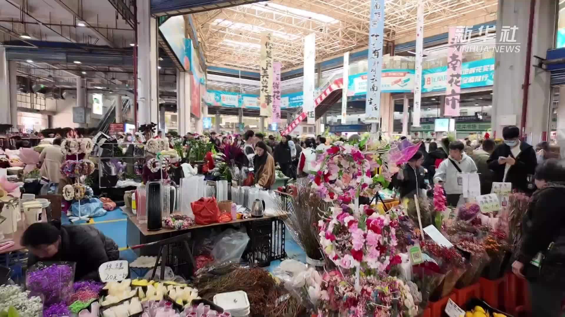 春城斗南花正香  马年新春购花旺