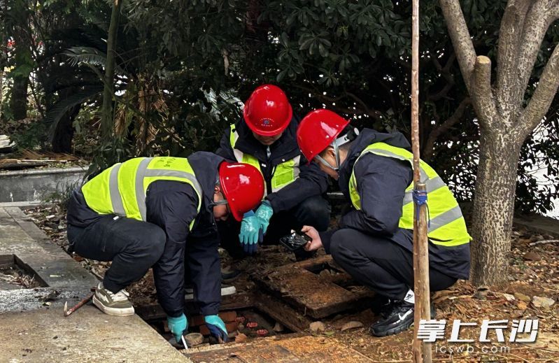 唐地和抢修队员处置漏水问题。均为长沙晚报全媒体记者 王珂 实习生 高伊 摄影报道