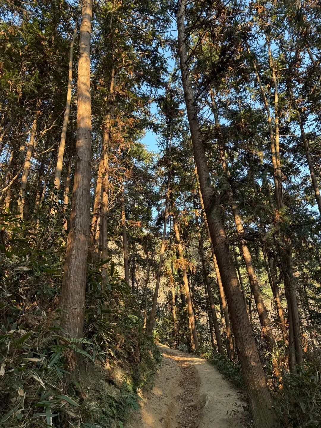 2026.1.3日 宁波徒步|方家河头村环线_8_Bravehu_来自小红书网页版.jpg