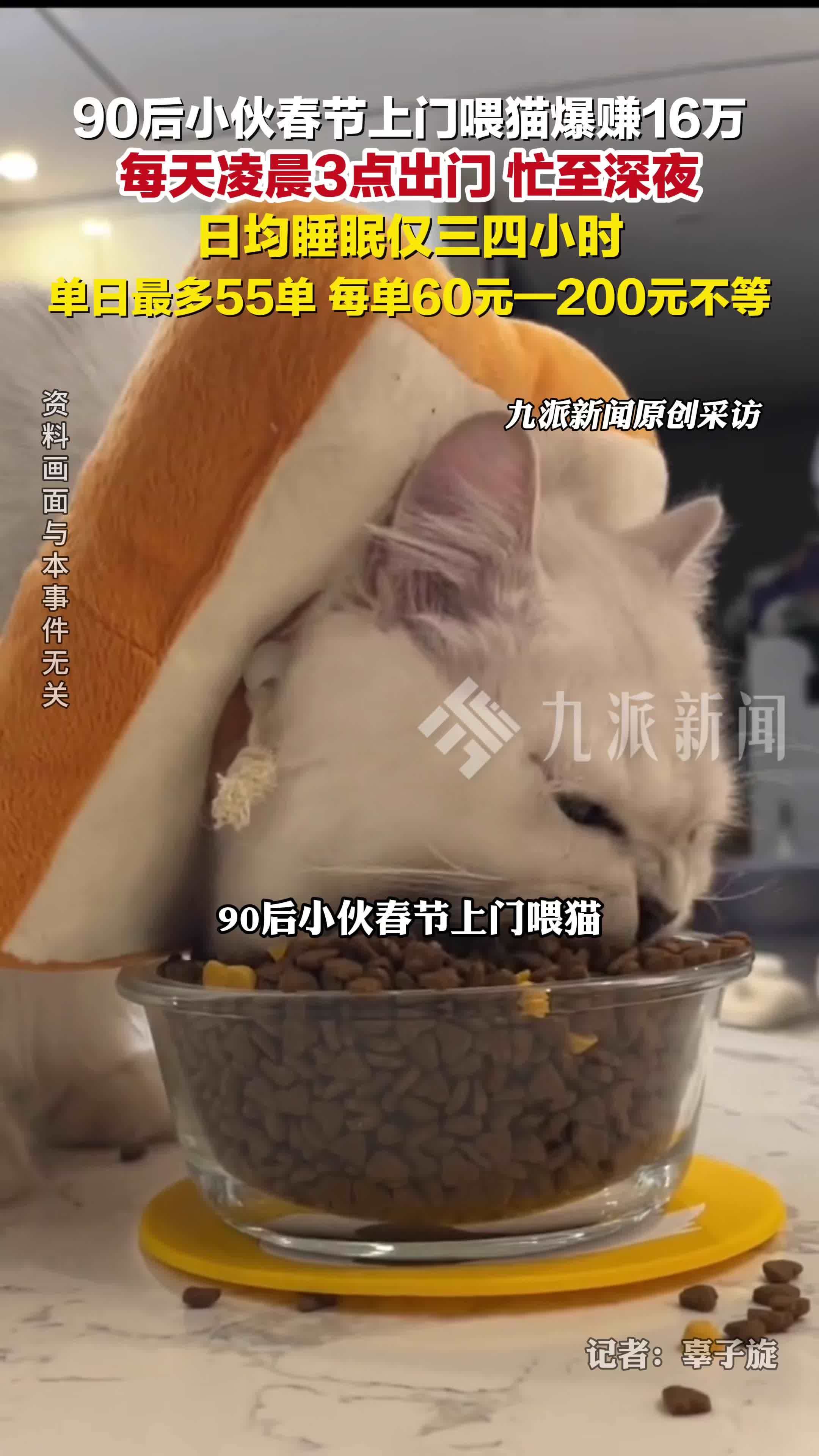 90后小伙春节上门喂猫爆赚16万：每天凌晨3点出门，单日最多55单