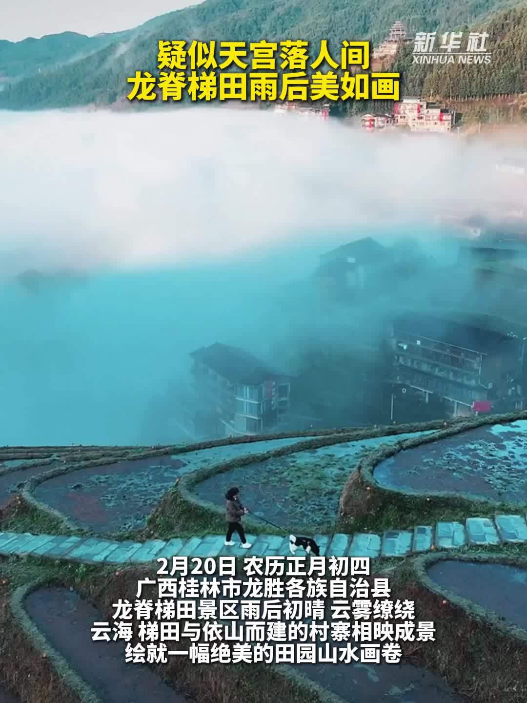 秀我中国｜疑似天宫落人间！龙脊梯田雨后美如画