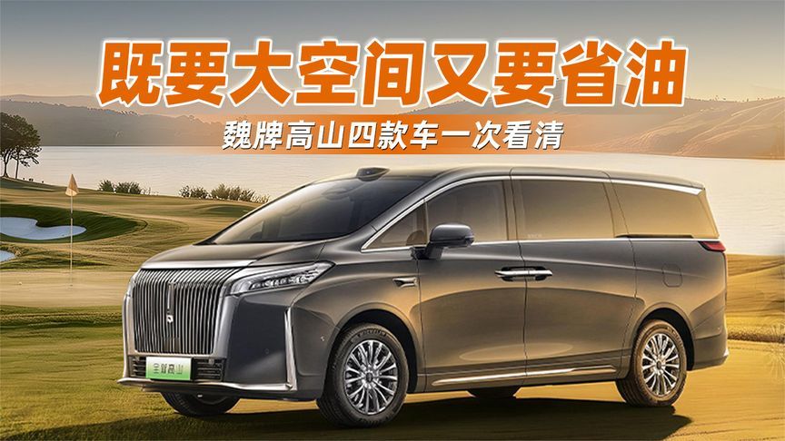 既要大空间又要省油？魏牌高山四款车一次看清