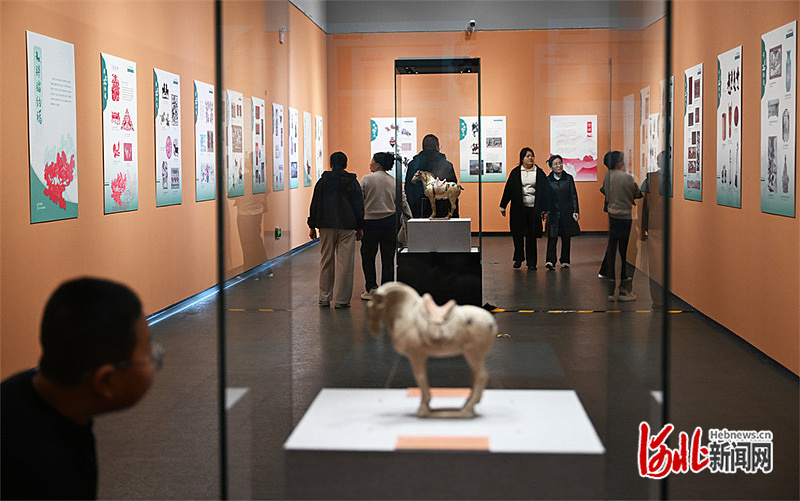 2月17日，游客在河北博物院观看“马舞新春——丙午马年全球生肖文化大联展”。