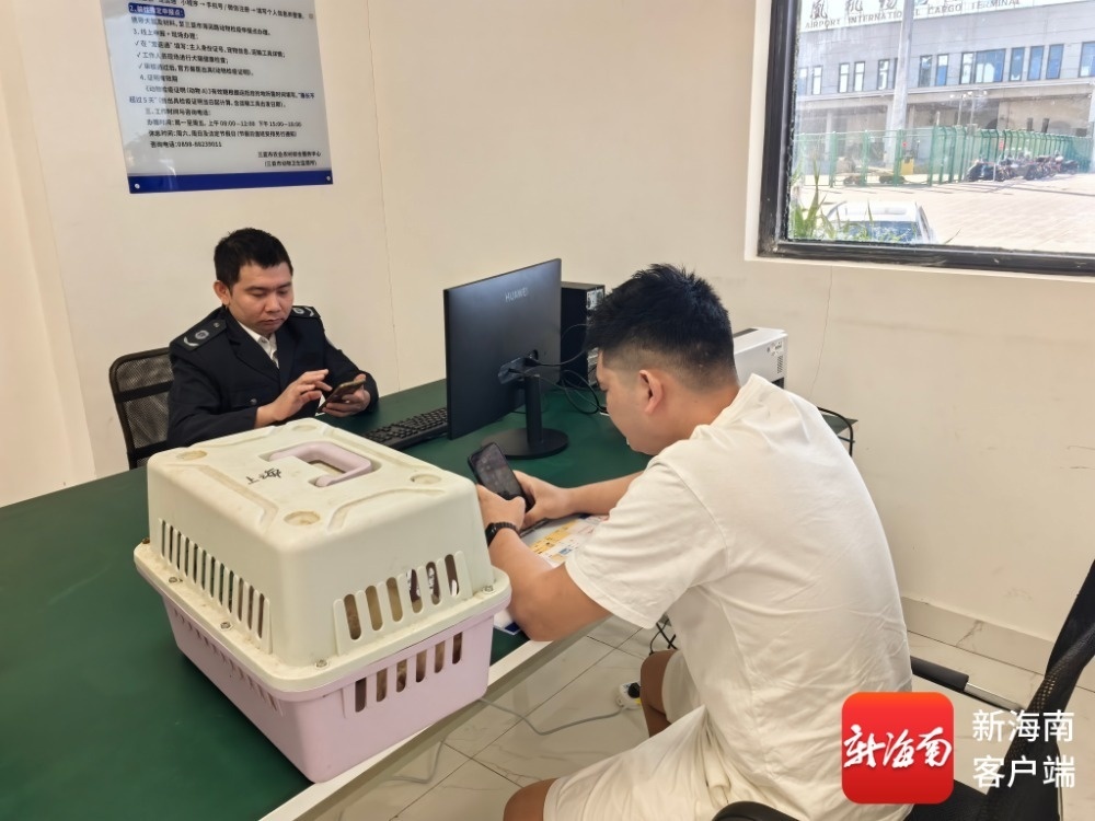 三亚市农业农村综合服务中心工作人员为携宠旅客办理动物检疫证明。记者 利声富 摄