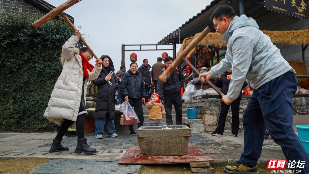 @怀化市老摄影家协会：大红灯笼挂满古村，处处洋溢着喜庆的新年气氛。荆坪古村的古树、古祠、古井、古院和独特民俗也吸引了许多摄影爱好者前来采风，让古村焕发出迷人的光彩。