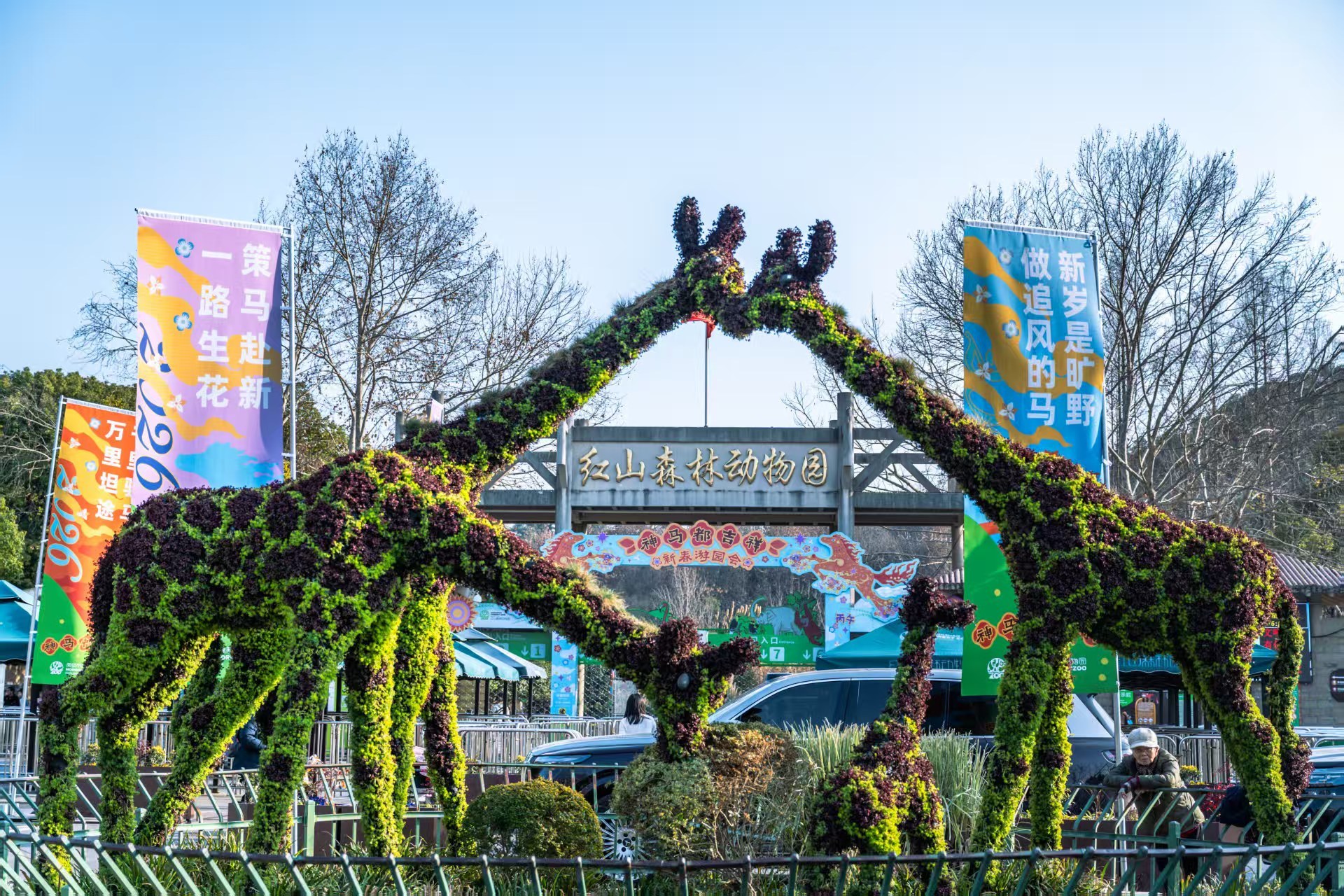 从“误入动物园”到玩转一整座城，南京红山新城打出新春“组合拳”