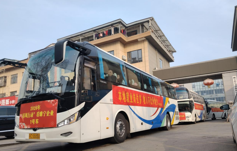 徐州睢宁：以高质量岗位，唤回青年归巢之心