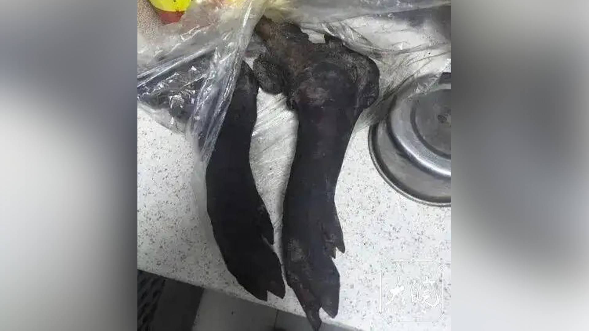 痛心！年关将至，10岁男孩吃猪脚卡喉窒息，抢救无效不幸去世，“想不明白吃一口肉为什么就要了他的命”