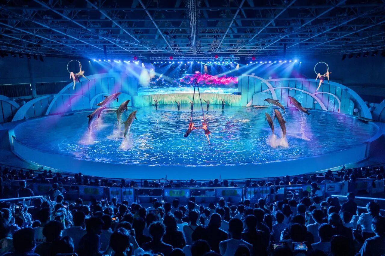 累计销售额超6000万元!2026崂山区春节消费热潮燃动山海