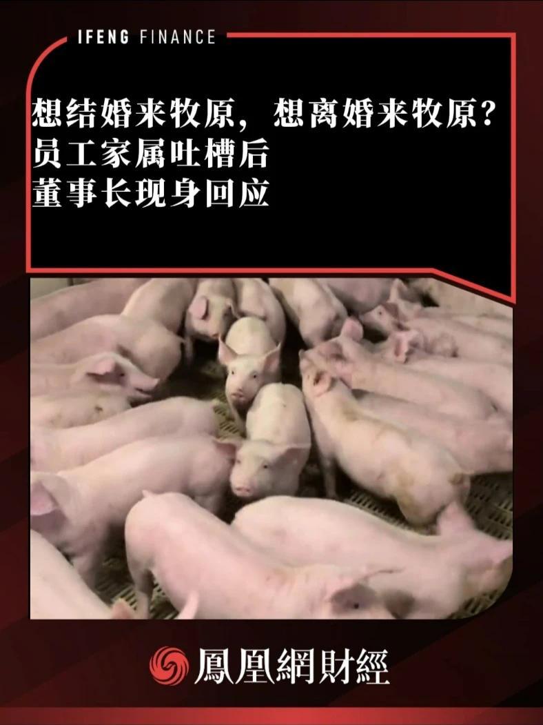 想结婚来牧原，想离婚来牧原？员工家属吐槽后，董事长现身回应 #牧原 #养猪