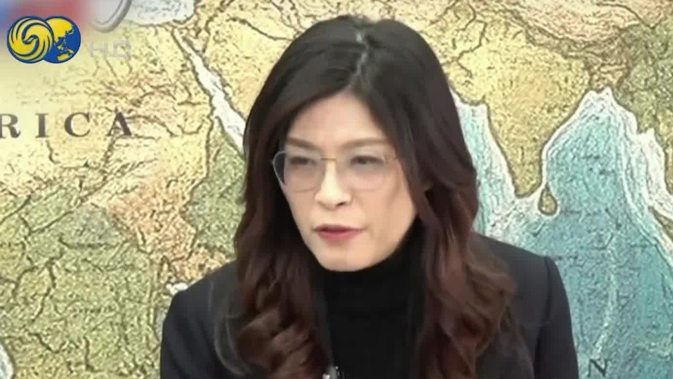 郑丽文：一旦台海冲突，台湾将成最大输家