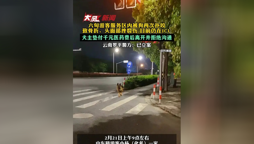 六旬游客服务区内被狗两次扑咬致骨折、头面部挫裂伤目前仍在ICU，犬主垫付千元医药费后离开并拒绝沟通，云南罗平警方：已立案