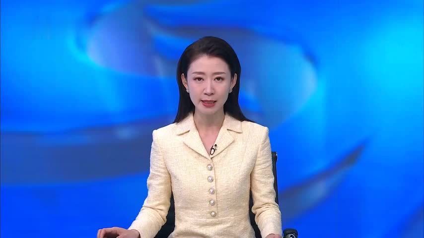 菲律宾议员登南海中业岛 称要持续外交反制