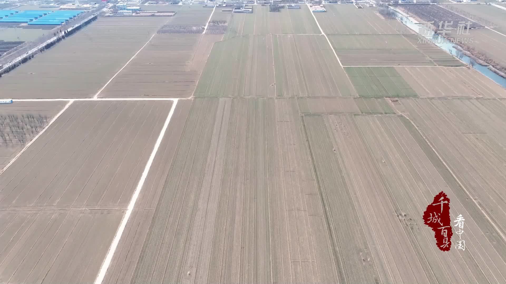 千城百县看中国｜山东冠县：春耕备耕忙