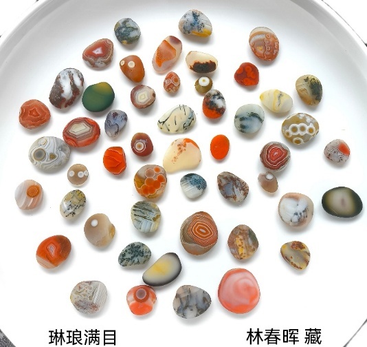 自然遗产与生态保护融为一体 “马踏雨花”为南京春节带来生机