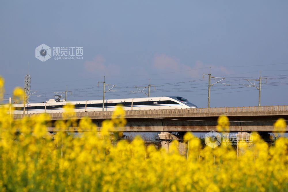 2026年2月22日，江西省吉安市泰和县塘洲镇土洲村境内，一列高铁动车奔驰在昌赣高铁云亭河特大桥上，穿越花海，驶向春天。