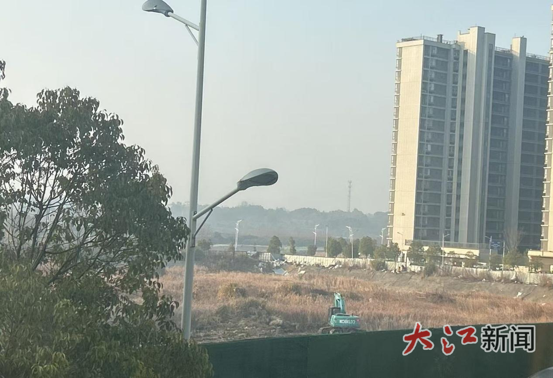 挖机正在清理芦苇丛