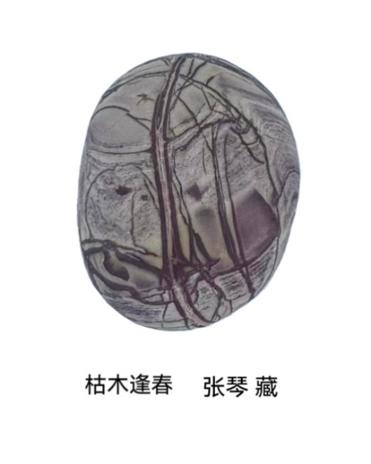 自然遗产与生态保护融为一体 “马踏雨花”为南京春节带来生机