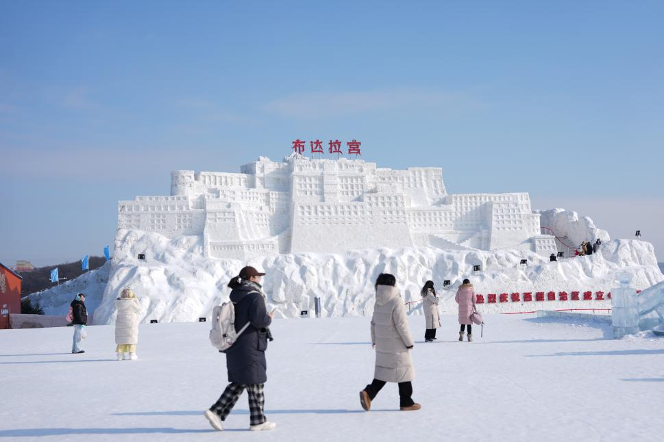 1月14日，长春冰雪新天地内游客观赏“布达拉宫”雪雕。新华社记者 颜麟蕴摄