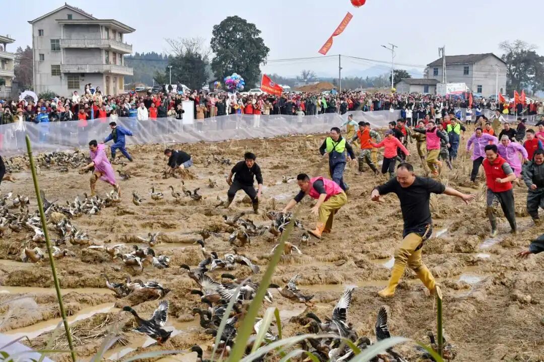 抚州市金溪县对桥镇旸田村举办农民趣味运动会 邓兴东 摄