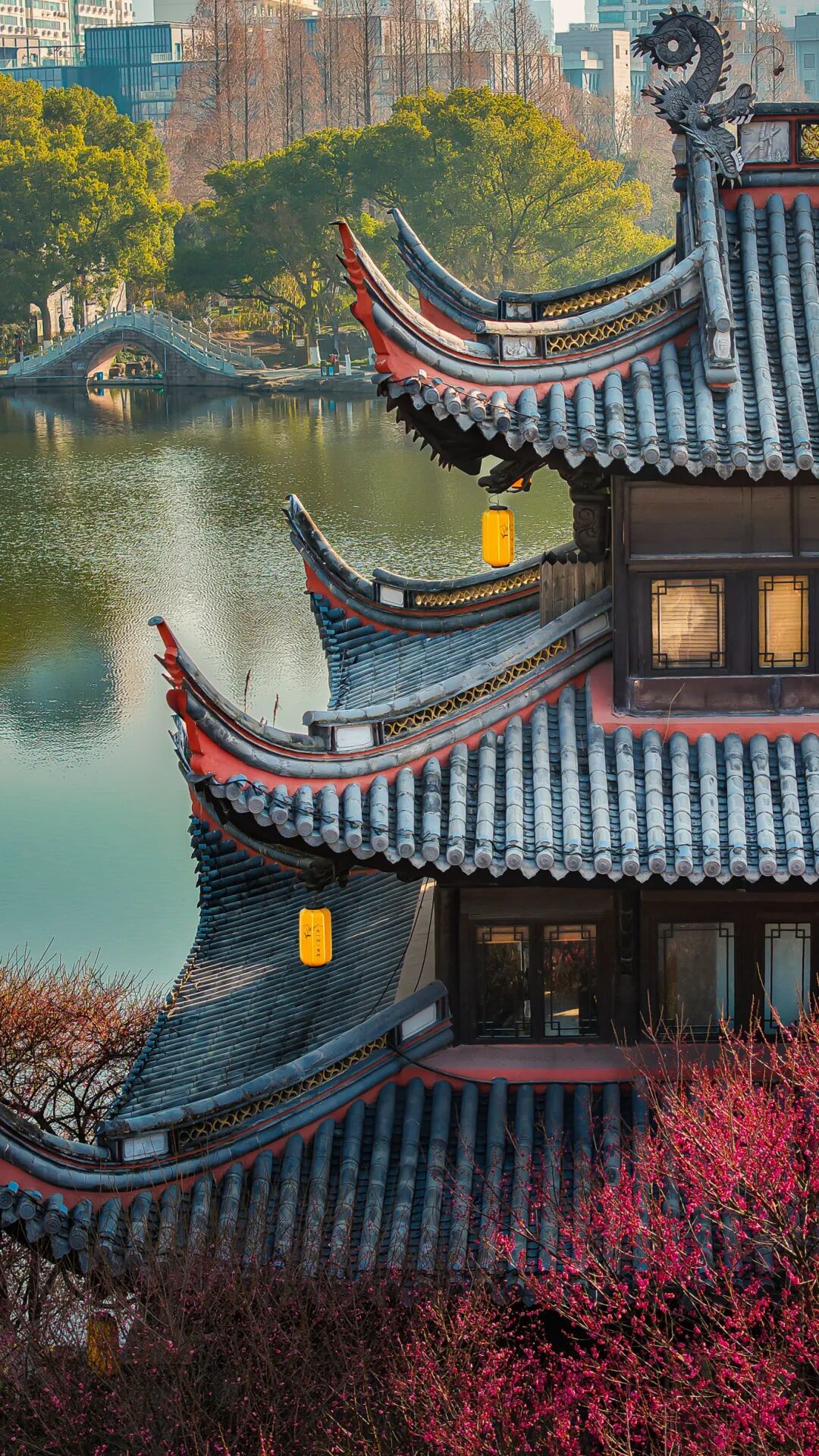 1.23 毛家巳 超然阁梅花 (2).jpg