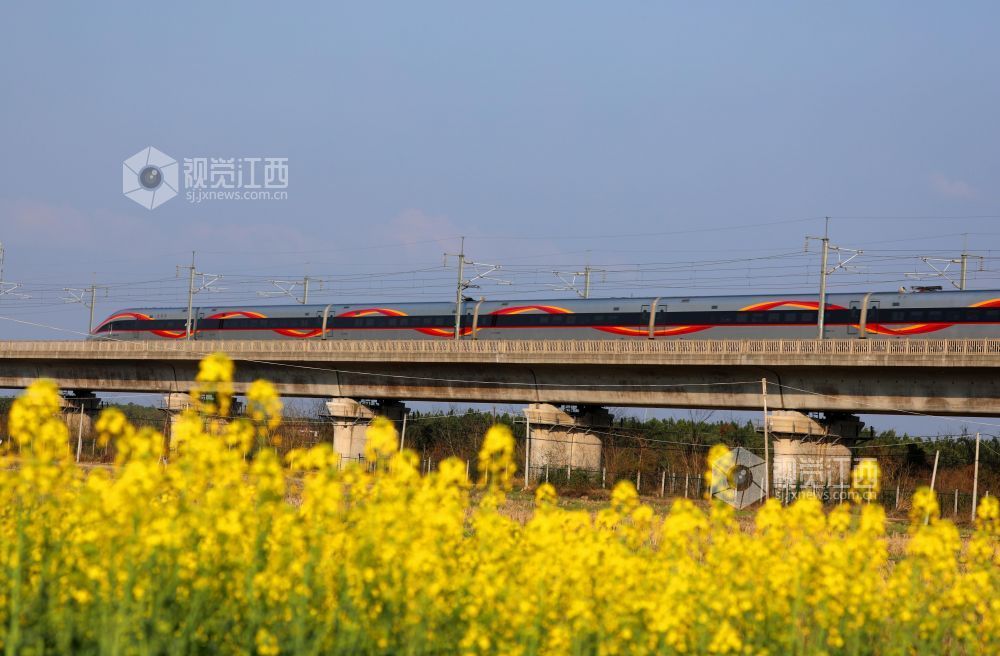 2026年2月22日，江西省吉安市泰和县塘洲镇土洲村境内，一列高铁动车奔驰在昌赣高铁云亭河特大桥上，穿越花海，驶向春天。