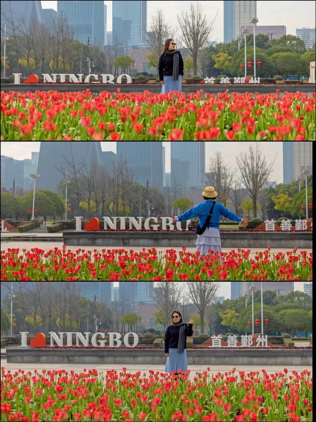 2026第一波郁金香开了  2.13现场实拍_8_漫步光影_来自小红书网页版.jpg