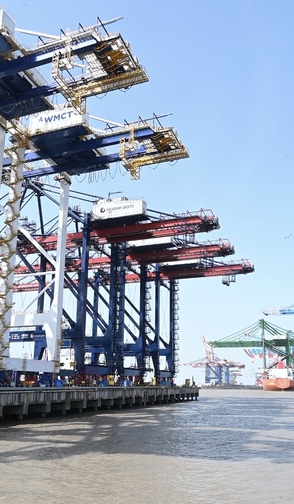 摩洛哥纳祖尔西地中海港项目第一批8台岸桥已全部完成总装。 澎湃新闻记者 张呈君 图